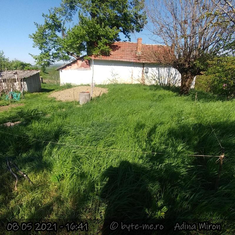 Pichetarea terenului pentru realizarea Gradinii Noi 